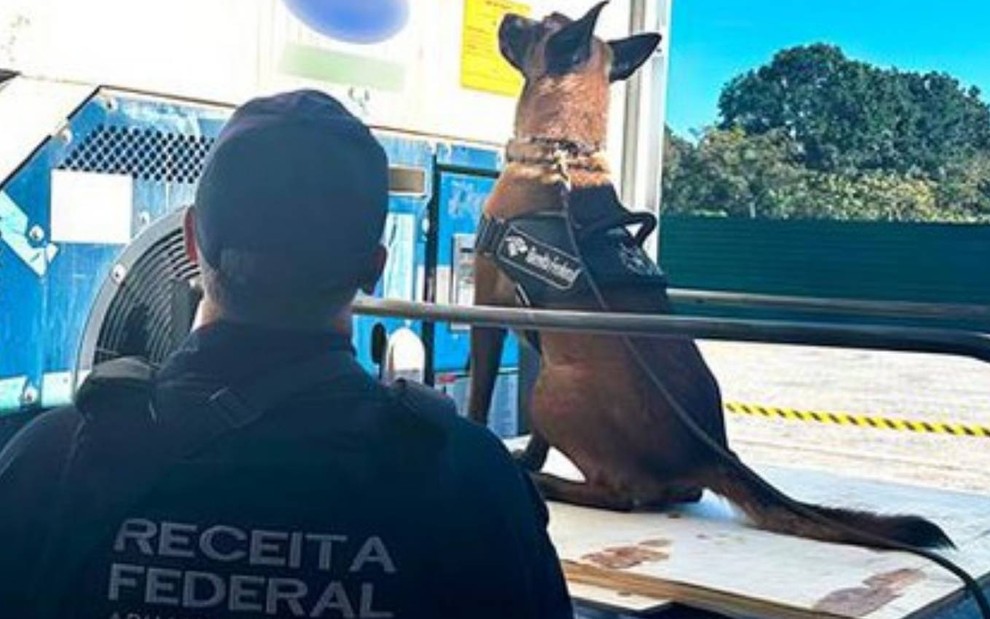 Agente canina Daphine, da Receita Federal