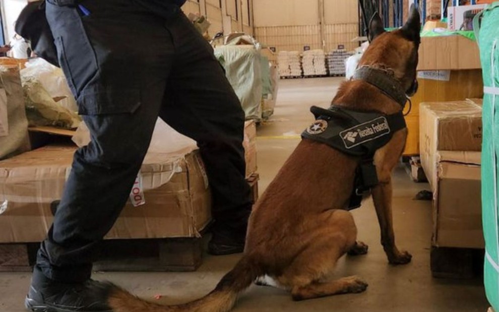 Agentes canino e policial