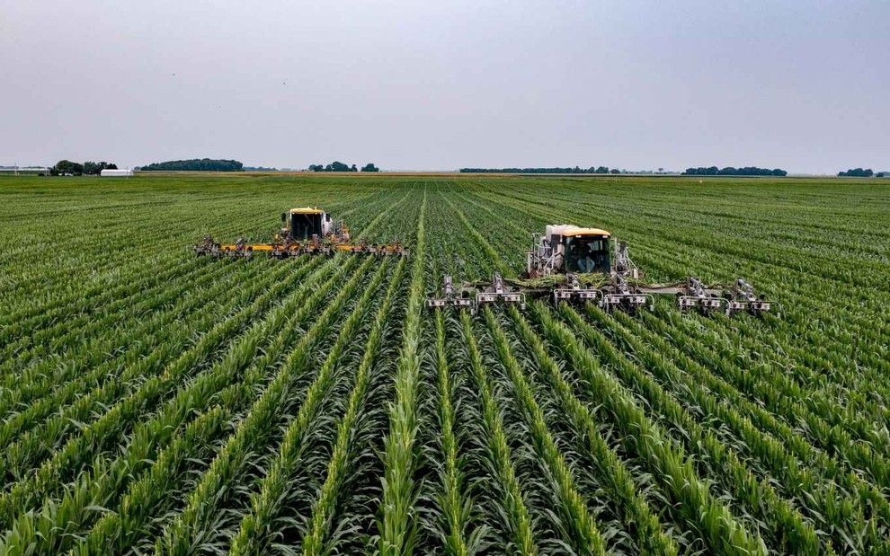 Plantação em fazenda