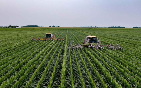 Plantação em fazenda