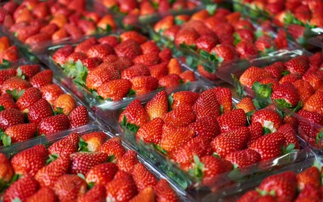 Caixas de morango