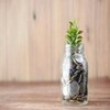 Imagem de planta com dinheiro crescendo