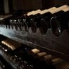 Adega com garrafas de vinho